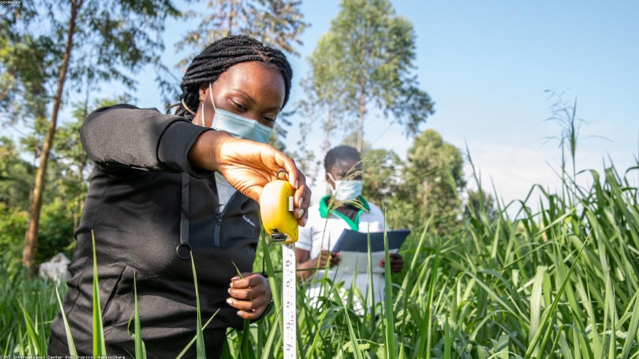 Intra-Africa Journal Hub